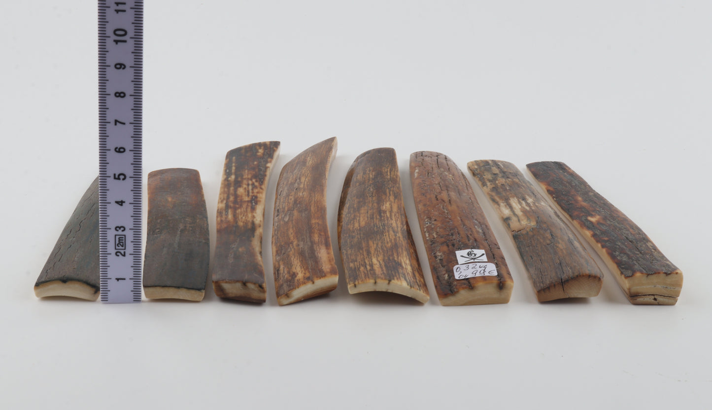 Natural mammoth bark pieces