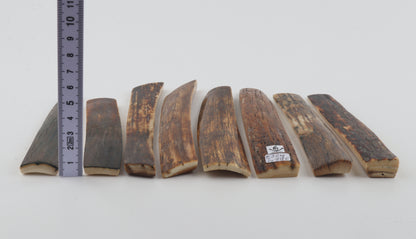 Natural mammoth bark pieces
