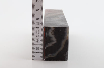 Stabilised mammoth molar block