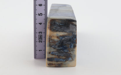 Stabilised mammoth ivory block