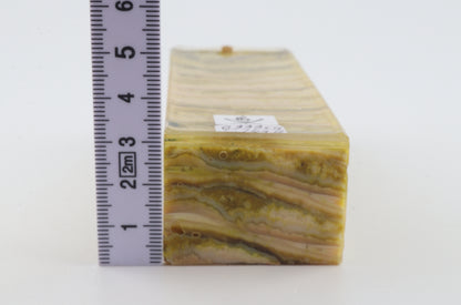 Stabilised mammoth molar block