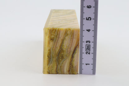 Stabilised mammoth molar block