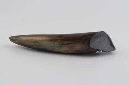 Restored woolly mammoth tusk tip