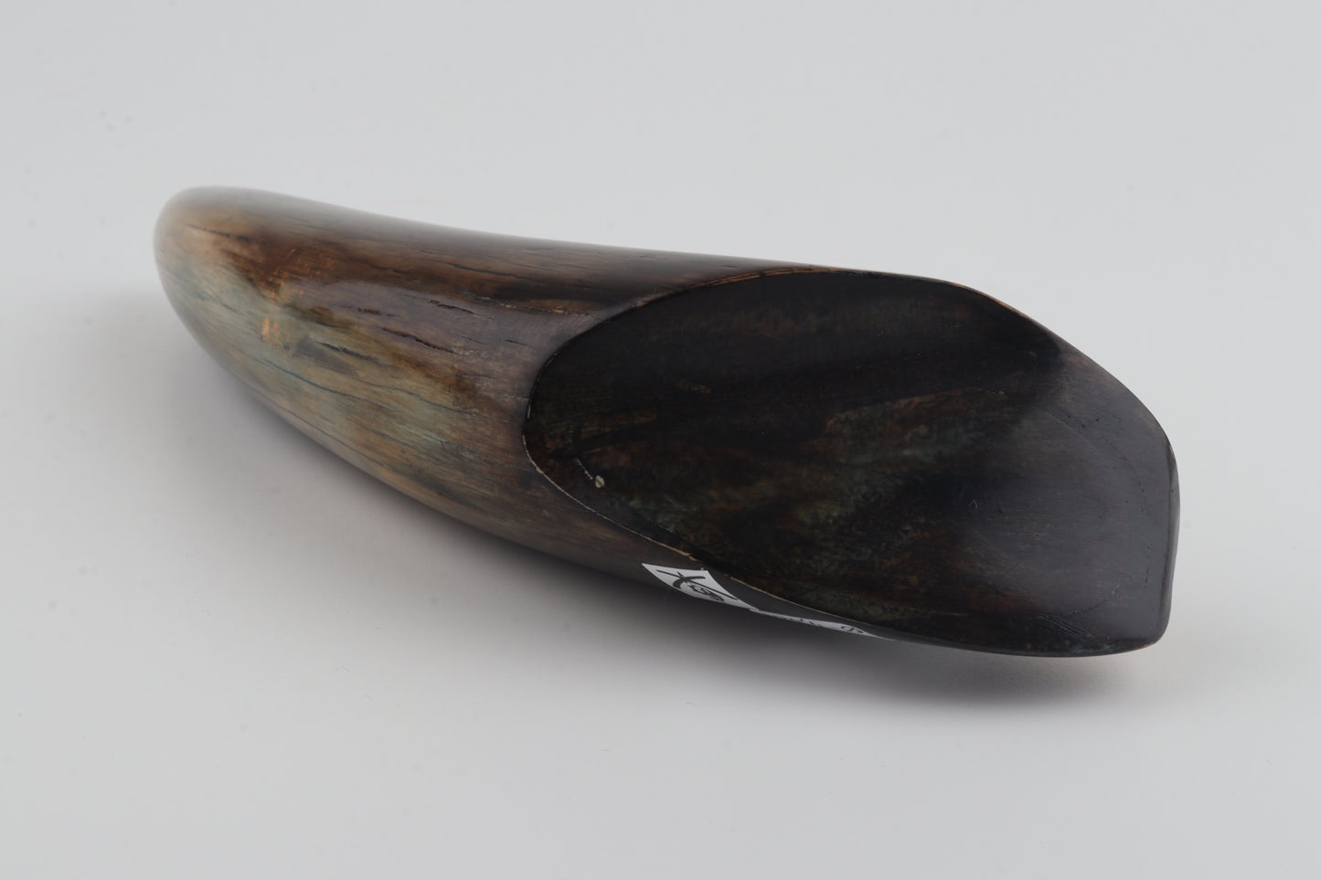 Restored woolly mammoth tusk tip