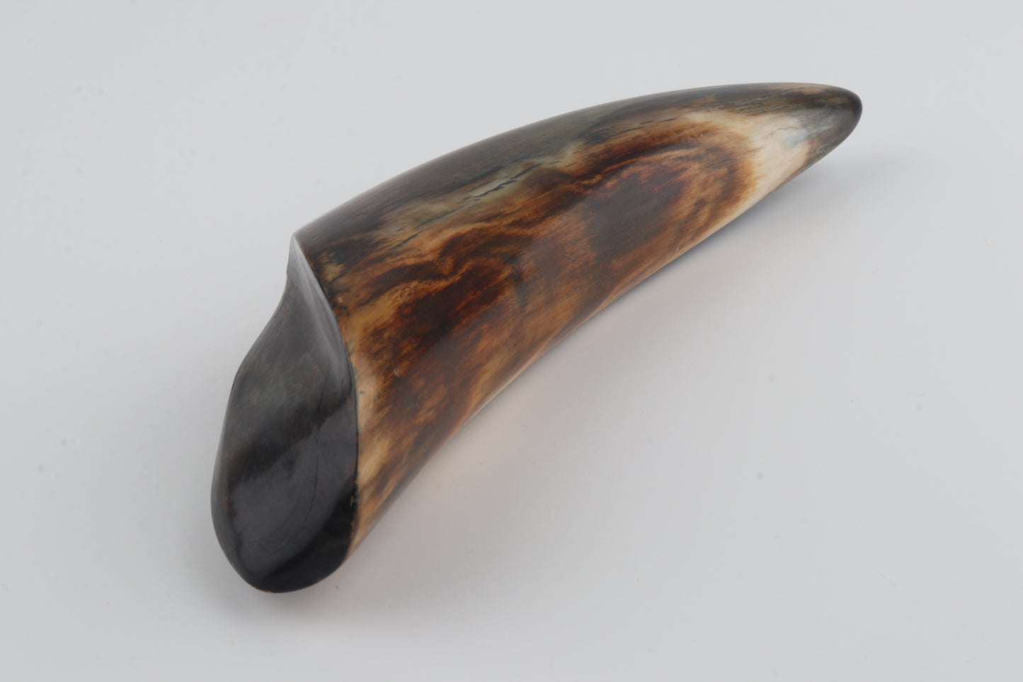 Restored woolly mammoth tusk tip