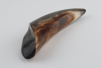 Restored woolly mammoth tusk tip