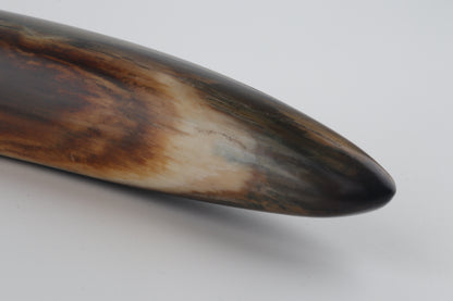 Restored woolly mammoth tusk tip