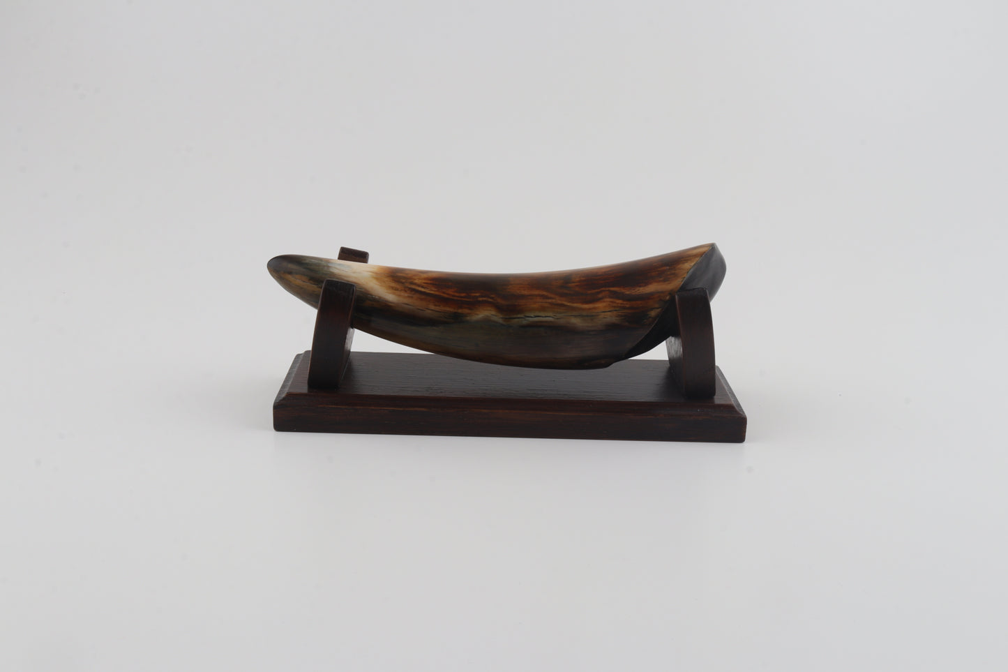 Restored woolly mammoth tusk tip