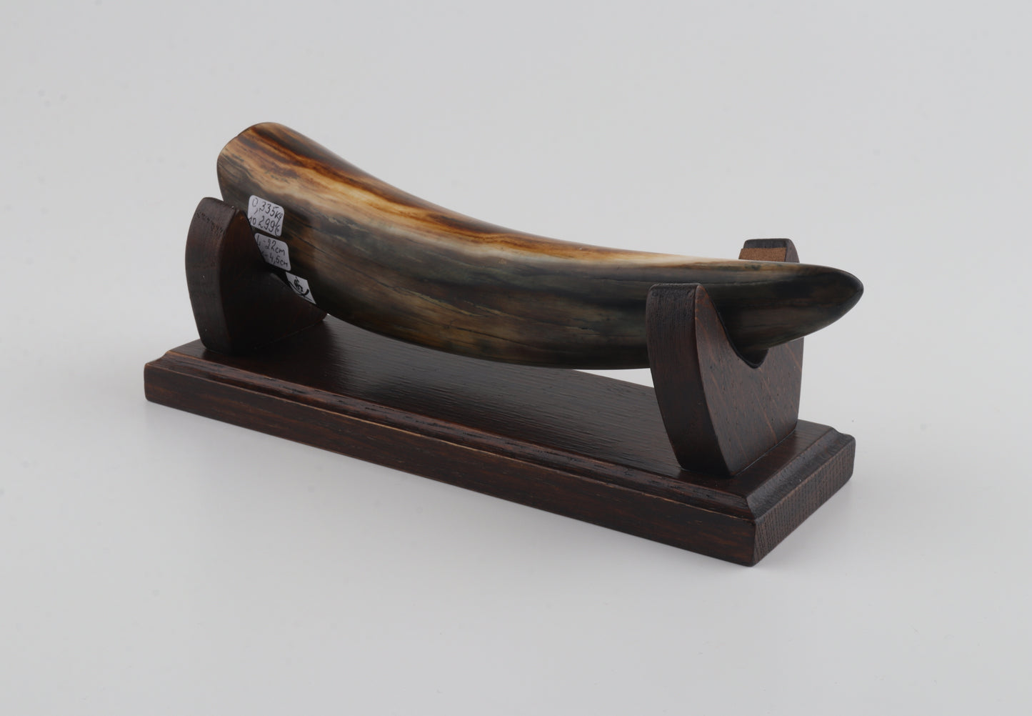 Restored woolly mammoth tusk tip