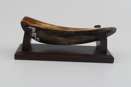 Restored woolly mammoth tusk tip