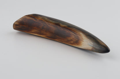 Restored woolly mammoth tusk tip