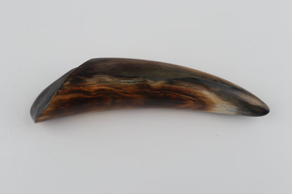 Restored woolly mammoth tusk tip