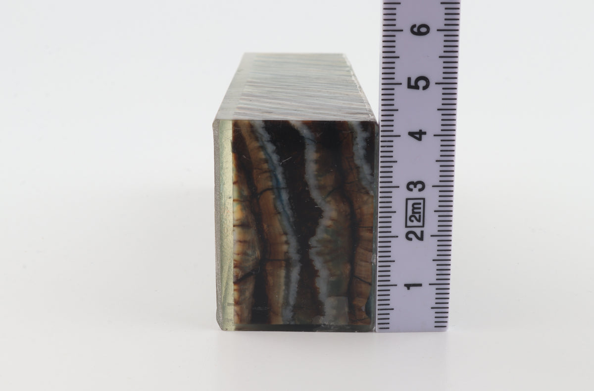 Stabilized mammoth molar block