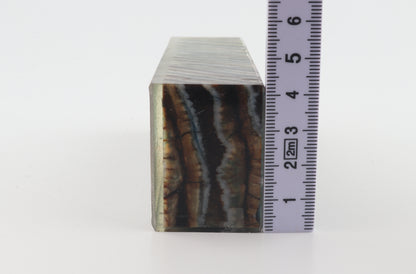 Stabilized mammoth molar block