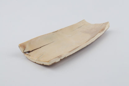 Orange-brown mammoth bark