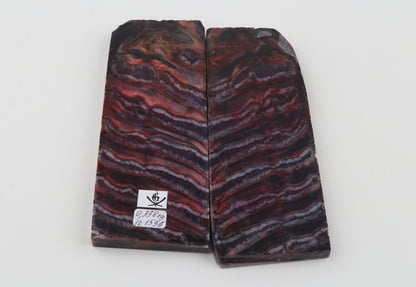 Stabilised mammoth molar scales