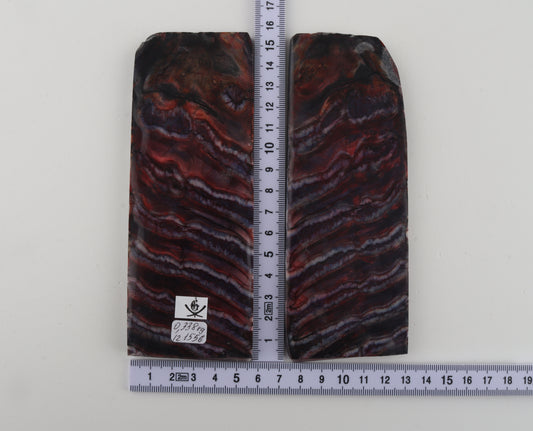 Stabilised mammoth molar scales