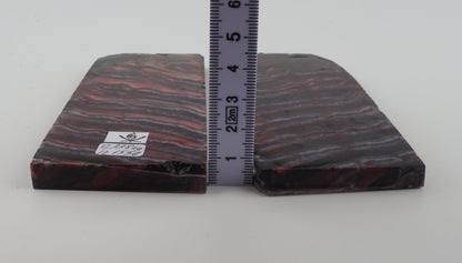 Stabilised mammoth molar scales