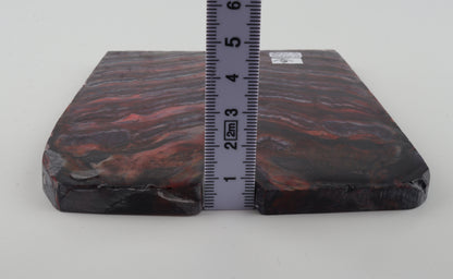 Stabilised mammoth molar scales