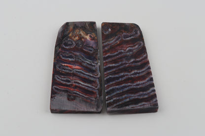 Stabilised mammoth molar scales