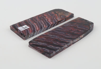 Stabilised mammoth molar scales