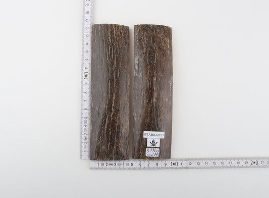 Stabilized mammoth bark scales