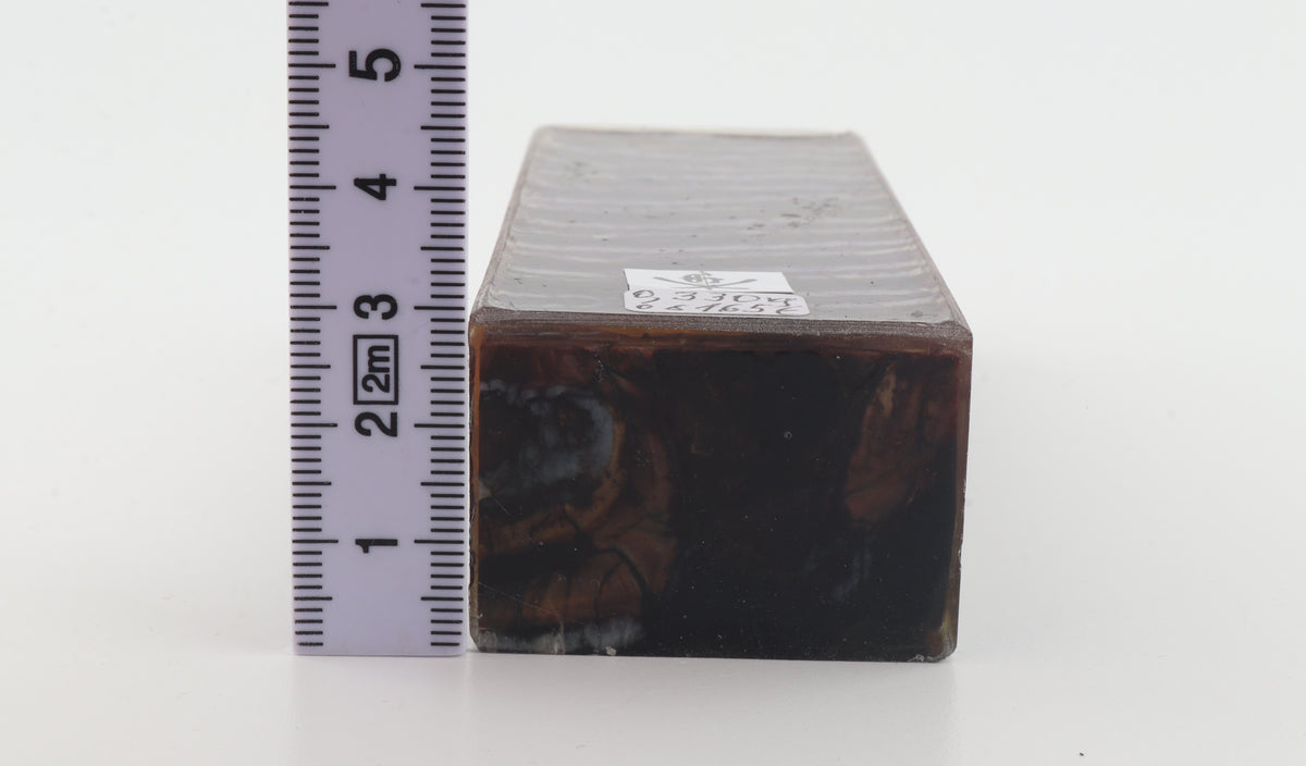 Stabilised mammoth molar block