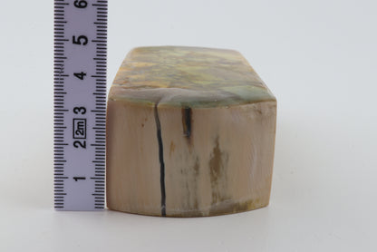 Stabilized mammoth ivory block