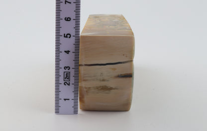 Stabilized mammoth ivory block