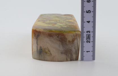 Stabilized mammoth ivory block
