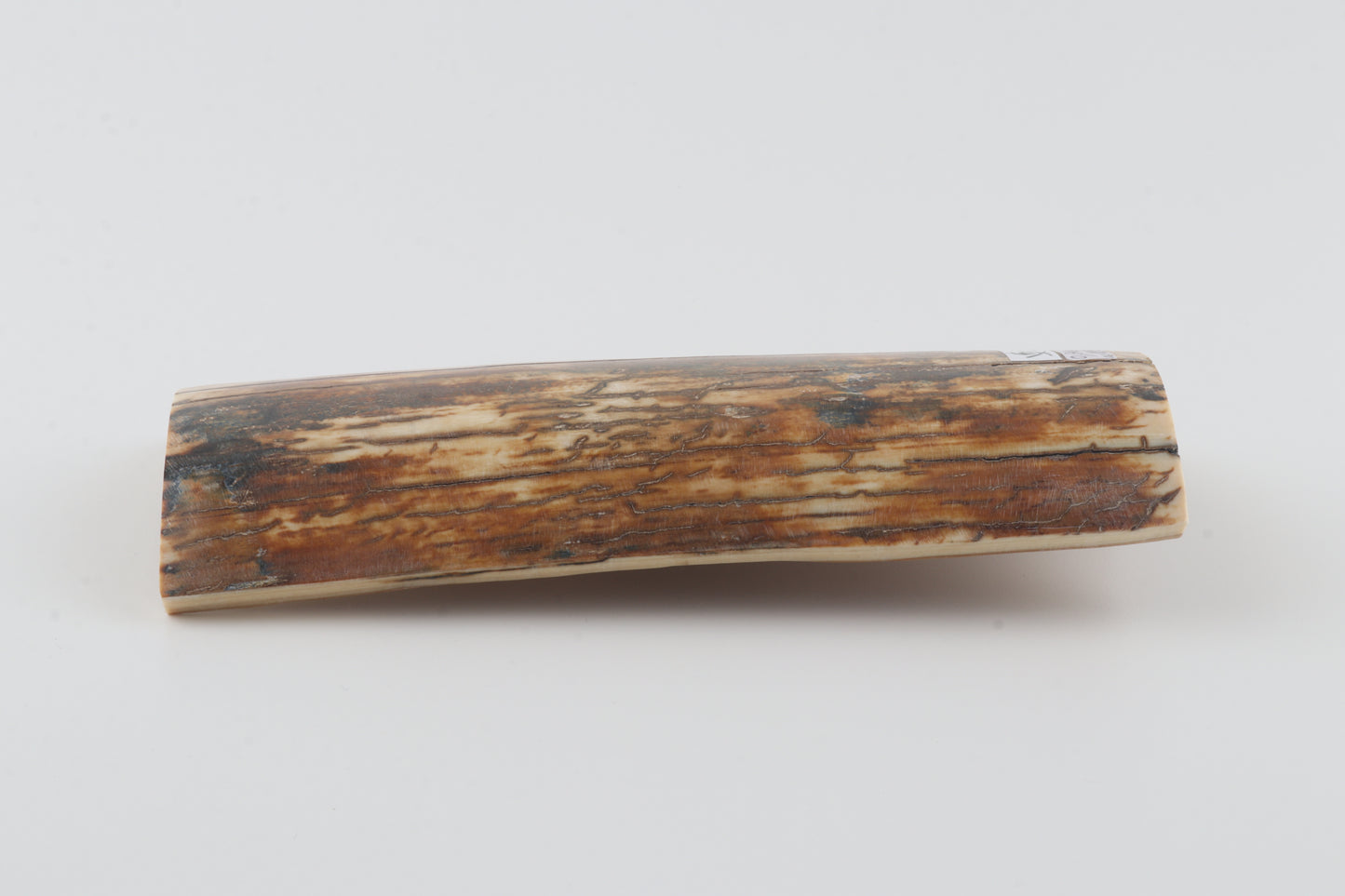 Natural woolly mammoth bark