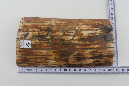 Natural woolly mammoth bark
