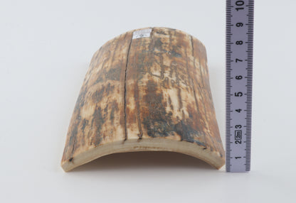 Natural woolly mammoth bark