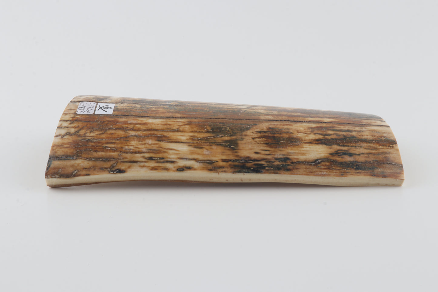 Natural woolly mammoth bark