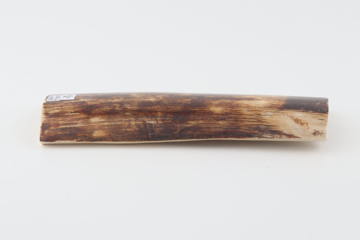 Brown-amber mammoth bark