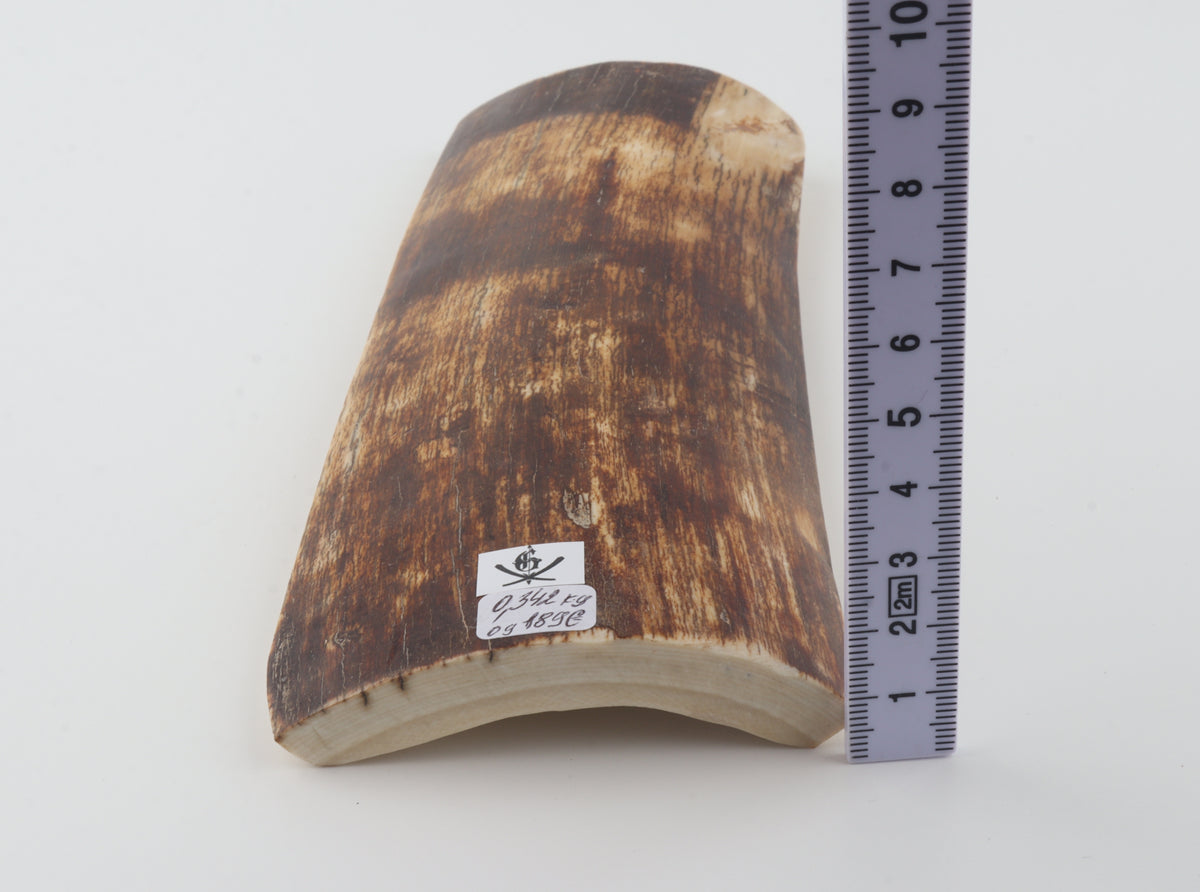Brown-amber mammoth bark