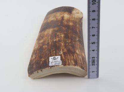 Brown-amber mammoth bark