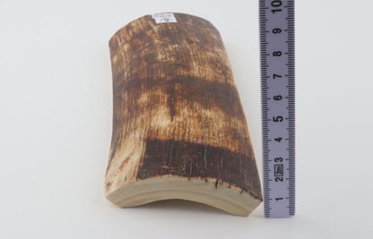 Brown-amber mammoth bark