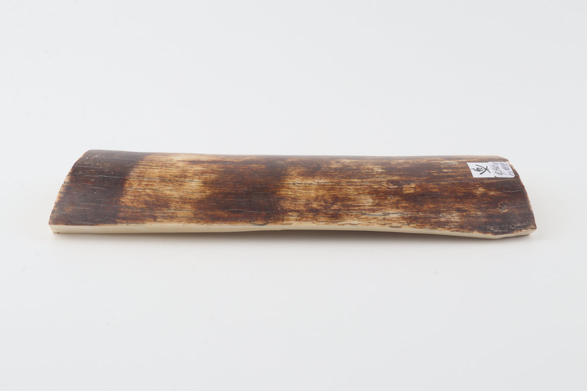 Brown-amber mammoth bark