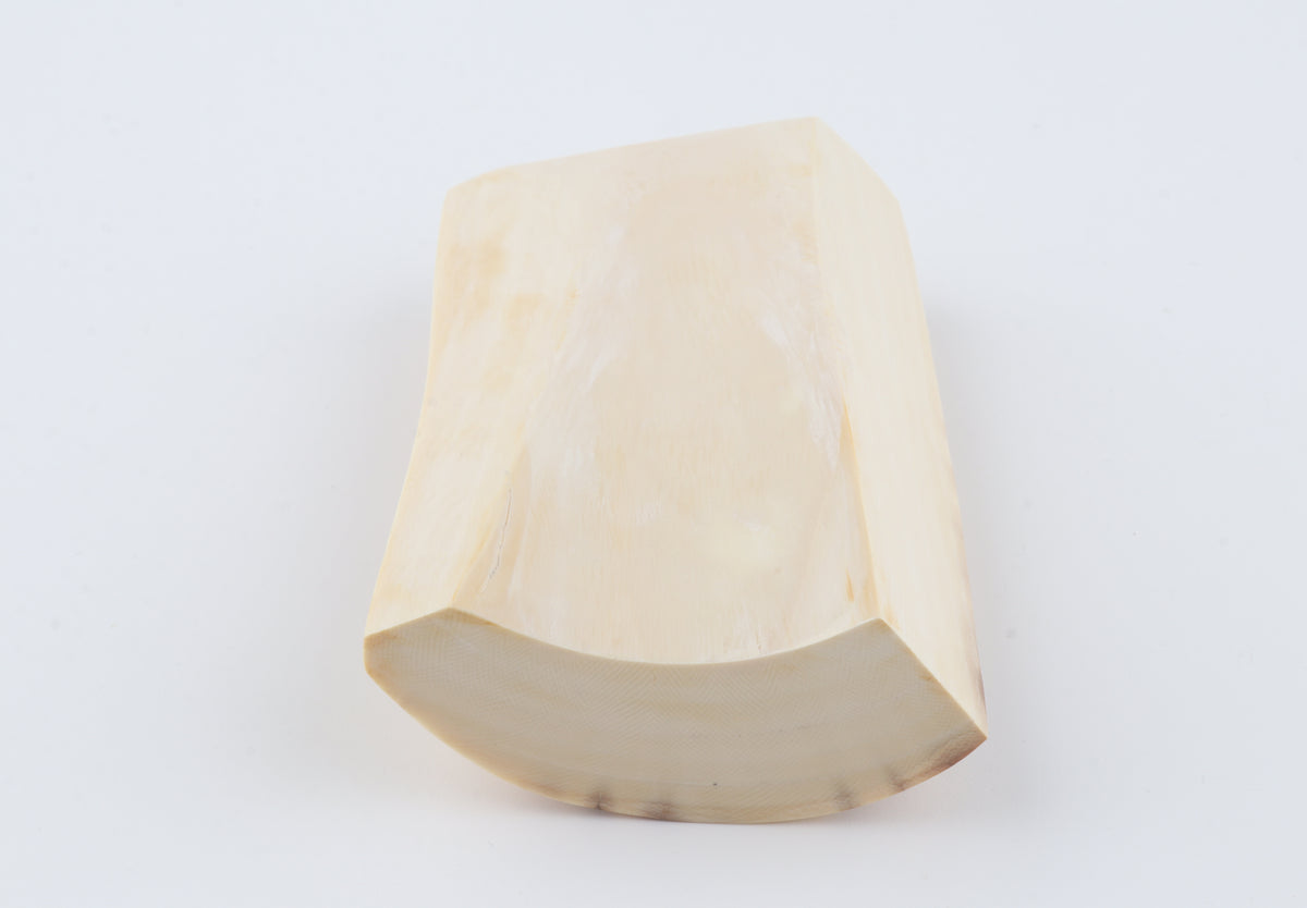 Cream-beige mammoth ivory piece