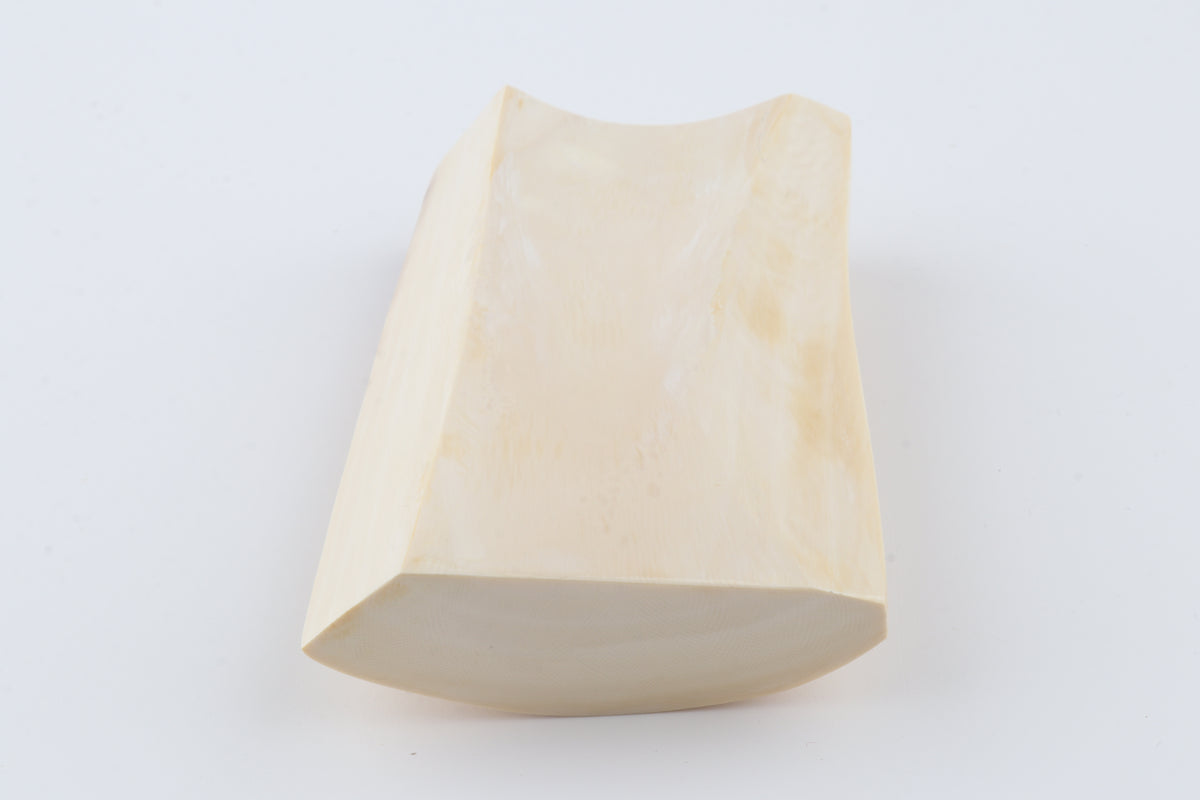 Cream-beige mammoth ivory piece