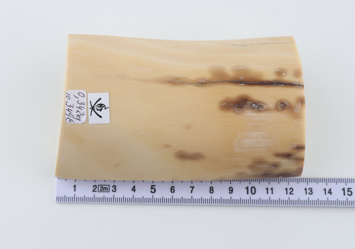 Cream-beige mammoth ivory piece