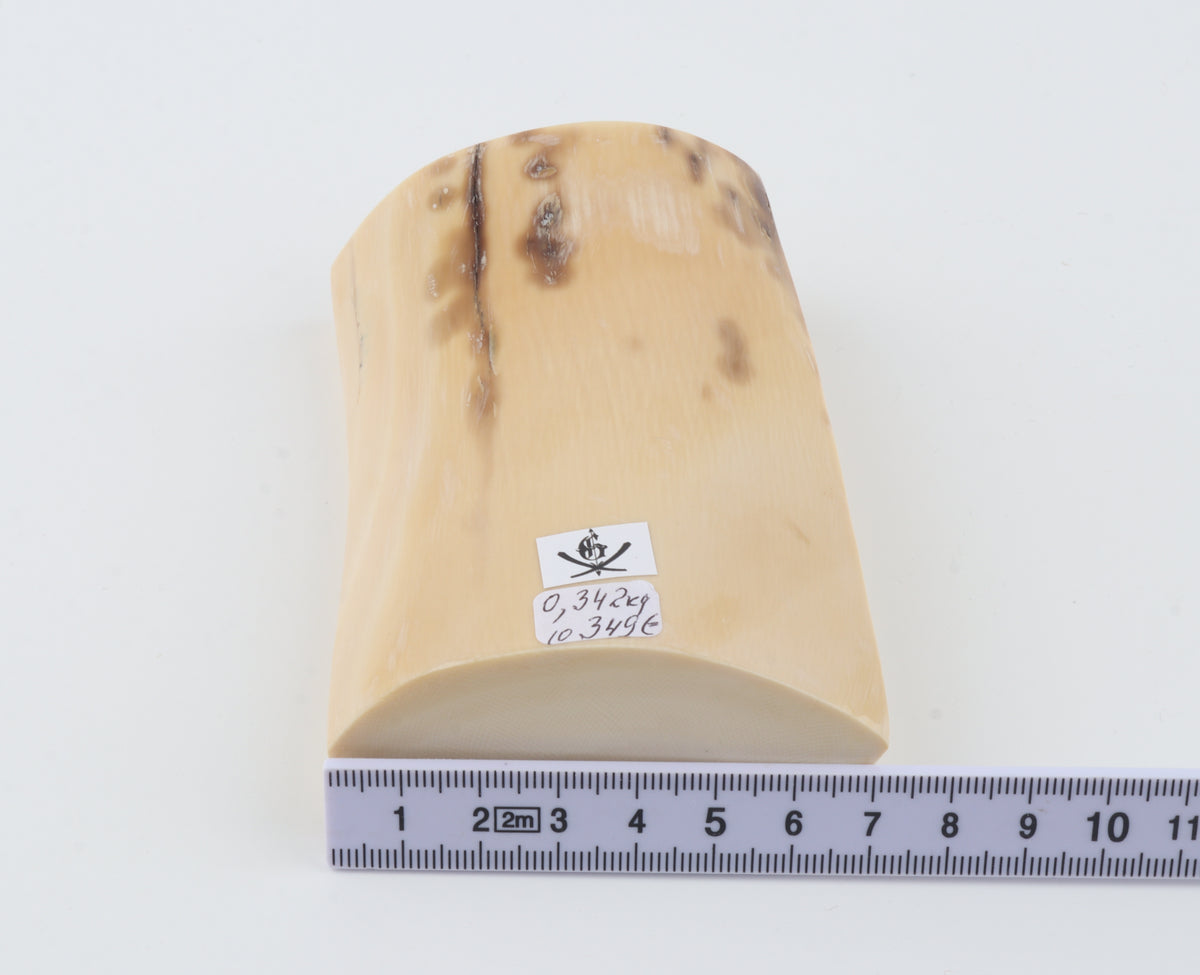 Cream-beige mammoth ivory piece