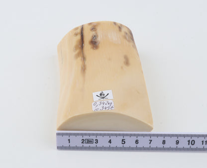 Cream-beige mammoth ivory piece