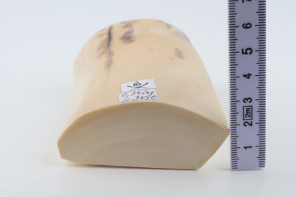 Cream-beige mammoth ivory piece