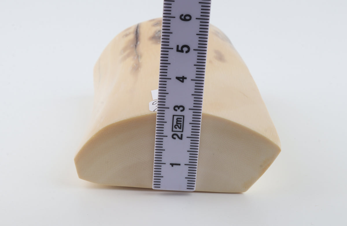 Cream-beige mammoth ivory piece