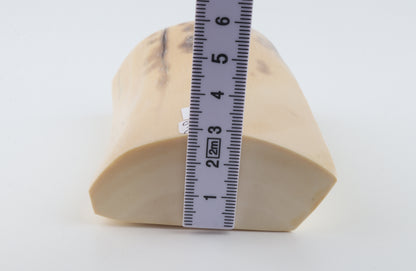 Cream-beige mammoth ivory piece