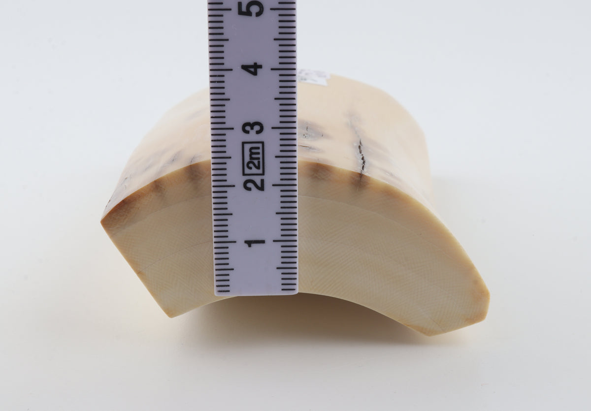 Cream-beige mammoth ivory piece