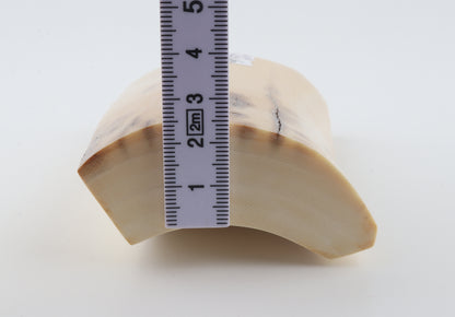 Cream-beige mammoth ivory piece