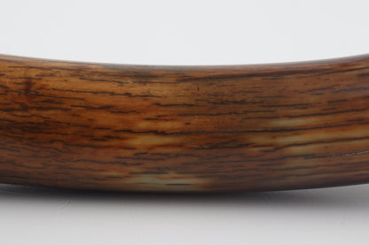 Restored woolly mammoth tusk